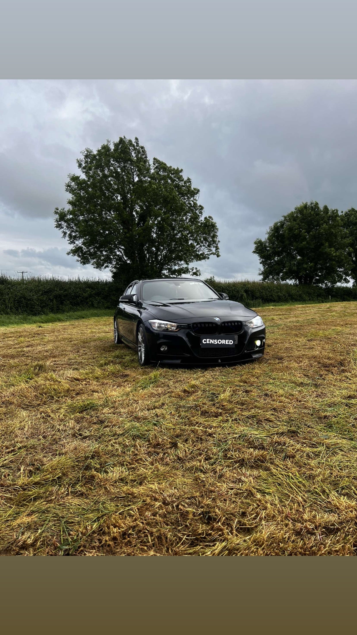 F30 M-PERFORANCE FRONT SPLITTER