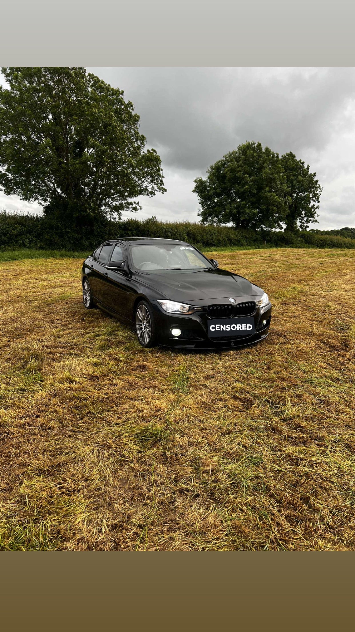 F30 M-PERFORANCE FRONT SPLITTER